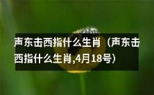 4月18号的讨论:声东击西这个成语意指哪个生肖?