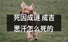 历史谜题:究竟是什么导致成吉思汗的死亡原因成为了无法解开的谜团?