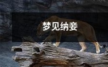 透露你内心深处想要拥有爱情和性爱之间的完美平衡的梦境:梦见纳妾