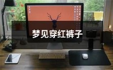 我梦见自己穿着一条火红色的裤子,还在无尽的梦中自由地穿梭游走着