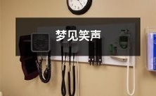 在梦中经历欢笑声和愉悦感的描述:梦境中的笑声和幸福感觉