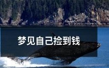 无意中捡到一大笔钱,醒来才发现是梦境中的“意外惊喜”