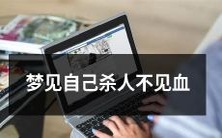 在梦中经历了杀人却没有流血的奇特体验