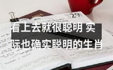 这些生肖看起来聪明,并且在实际生活中也确实非常聪明