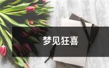 夜晚降临,我沉浸在翩翩羽毛与蒲公英的梦幻世界,随着一阵狂风,我欣喜地发现自己身处于万紫千红的童话王国,不再孤独寂寞,因为我梦见了狂喜