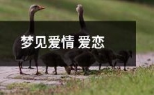 - 梦中情人:我一夜独自入梦,遇见了爱情的深深爱恋之感