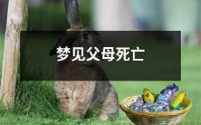 在梦中目睹父母逝世:对梦境的解读与影响