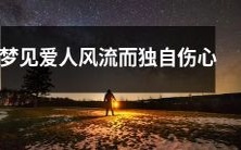 在梦中遇到风流爱人并感到孤独悲伤的心情