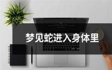 做梦时看到蛇潜入人体内部,引发恐惧和疑虑的情景描述