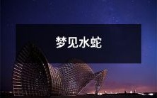 入梦中看到一只游动在清澈水面上的水蛇