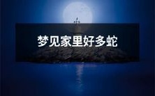 梦见在家中发现大量蛇,情景荒诞诡异且意义深远的梦境