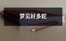 梦中见到许多蛇缠绕,仿佛无穷无尽的情景