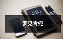 在梦中目睹绿色的仪式性蛇类,令人感到复杂纠结及充满象征意义的日常梦境