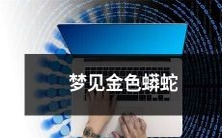 今夜梦见闪耀金色的长蟒蛇:将梦境中的奇妙故事诠释为无限可能性的探究之旅