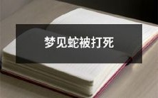 做梦境中目睹蛇以及其遭受致命打击的情景