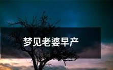 梦见自己的妻子意外早产,带来心理上的震撼和不安,想象自己如何应对和面对这种紧急情况