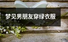 今夜我做梦了!惊人的梦境中出现了我深爱的男友,他竟然穿着华丽的绿色衣服!