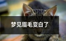 睡梦中出现眉毛变白现象,让人困惑心烦:如何解读梦境中的眉毛变白,该如何应对呢?