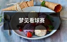 做梦梦见自己观看球赛,感受身临其境的情境,仿佛亲身参与其中的生动体验