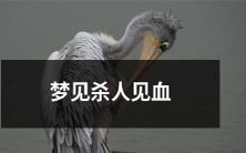 做梦经历杀人场面,目睹血流如注的惊心一幕