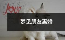 我做了一个梦,在这个梦里,我看到了我的朋友正在离婚,并通过这个梦来探讨人们在现实生活中面临离婚的情况时,所可能产生的种种情感和反应