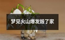 梦中亲身经历:我目睹火山爆发,家园化为灰烬的惊险之旅!