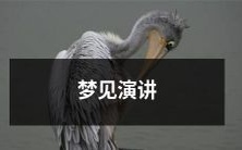 在我的梦中,我走上讲台,拥有了一场引人注目的演讲