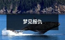 做梦梦见报复行为的梦境体验:被冤枉或受伤后的情绪宣泄或寻求正义的愿望在梦境中的映射和反映