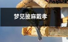做梦时梦见自己披戴麻衣戴孝,意味着什么?