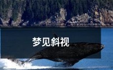 奇怪的梦境:我梦见自己斜视了,感受到眼球僵硬、视线模糊的痛苦,一生永难忘记的梦境