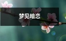 细思想流,不敢启齿,无助于现实的梦见暗恋,如何正视心理的冲突并寻求解决之道?