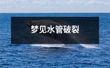 在梦中目睹水管破裂的不安情景:关于梦境中视觉冲击的反思与解析