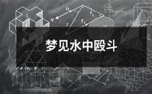 在睡梦中目睹惊心动魄的水中暴力斗争情景