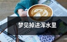 梦中经历:我不慎掉进浑水中,一步步挣扎艰难,惊险刺激的探险梦境