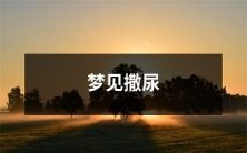 在梦中经历撒尿情境:人们的睡眠状态引发的生理反应和潜意识的表达