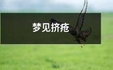 昨夜梦见自己挤疮,如何诠释这个隐晦的梦境象征,解析潜意识和预示未来的意义?