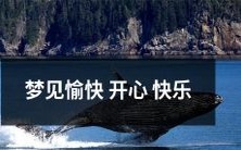 梦见充满快乐和幸福的开心场景,让你在睡梦中留下精彩回忆!