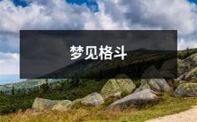 在梦中经历格斗的奇妙冒险:探索梦境中的打斗场景
