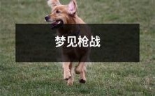 我做了一个梦,梦见自己身陷一场惊险刺激的枪战,仿佛置身于激烈的火线之中!