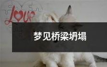 梦见桥梁崩塌,象征无法跨越难关,不得不重新规划前进道路的内心挣扎与思考的潜在涵义