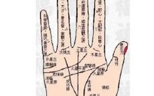 如何通过手相和面相来分析一个人可能会破财的情况?