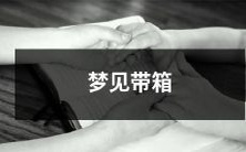 子搭乘着火车在远方的山间穿行,箱子中藏着珍贵的回忆和期待,心中充满着未知的冒险与挑战——一个充满想象力的梦境