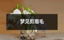 梦中见到一位人物在为我修剪眉毛的奇异体验