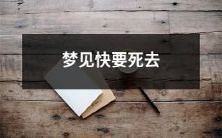 的亲人,并被带到一个神秘的世界,最终在那里发现了故乡的全新模样:感人至深的梦境中探寻死亡与生命的真谛