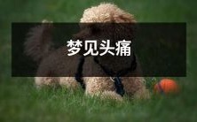 梦中出现头痛症状:探究梦境中身体反应与情感之间的关联