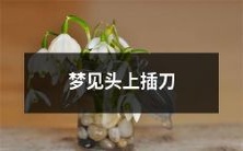 在梦中看到自己头上插着一把刀,惊恐、焦虑、不安的感觉萦绕心头!