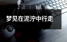 做梦梦见自己身处泥泞之中,必须跋涉前行,绕过浑水深坑,一步一脚印地推进的情景