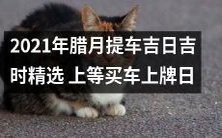 2021年腊月提车吉日吉时精选:选定上等买车上牌日,快来为您的座驾扬威吧!