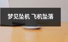 在梦中经历了坠机的恐怖:飞行器猛然坠落,造成心理创伤!