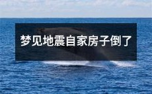 在梦中经历地震,感觉自身住所倾覆的梦想